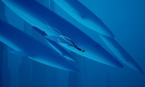 abzu breathtaking moments