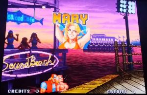 real bout fatal fury blue mary exposed