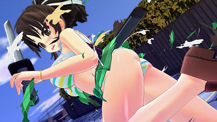 Senran Kagura has a busty amount of games coming to Nintendo Switch, PS4  and mobile – Destructoid