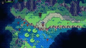 crosscode the woods