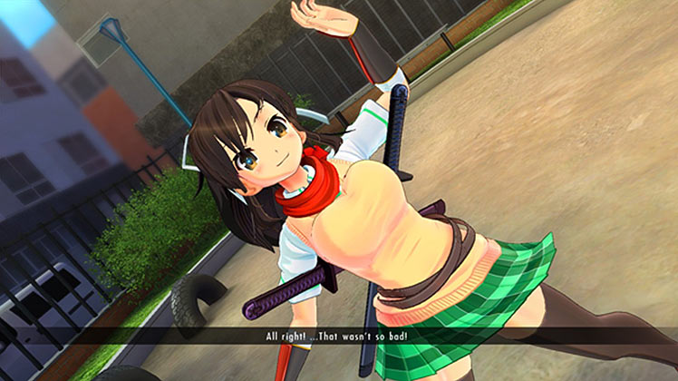 SENRAN KAGURA Burst Re:Newal (ACTUAL Game Review) – cublikefoot