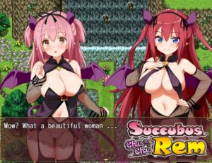 chuchu succubus rem