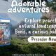 &lsquo;Adorable Adventures&rsquo; is coming physically to the PS5 on November 12th