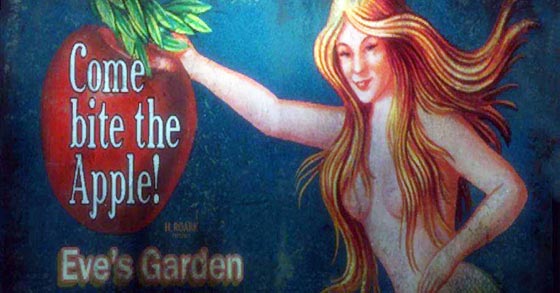 bioshock 2k games eves garden