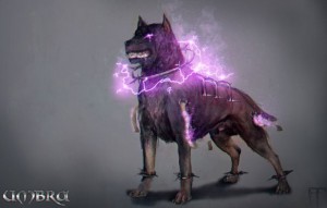 umbra dog