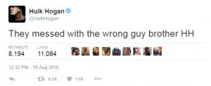 hulk hogan vs gawker