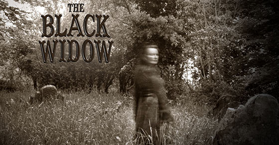 the interactive murder mystery game the black widow is coming to pc and mobile on august 1st