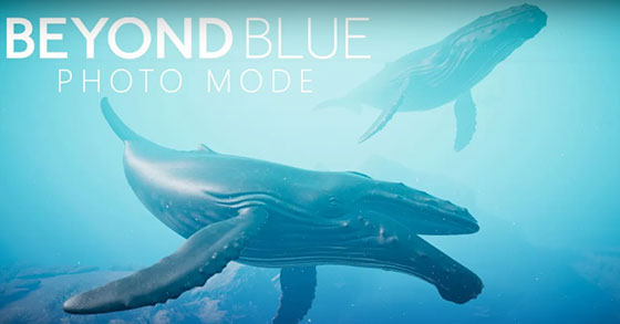 the beautiful ocean adventure game beyond blue has just announced its new photo mode