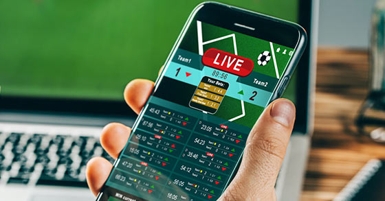 is online sports betting right for you lets find out