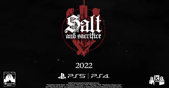 the hardcore 2d arpg platformer salt and sacrificehas just released its online multiplayer details