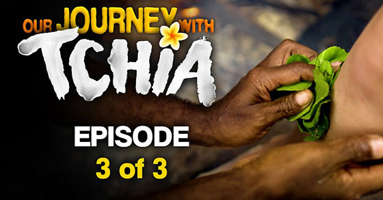 the beautiful open-world adventure game tchia has just released its third and final behind the scenes video